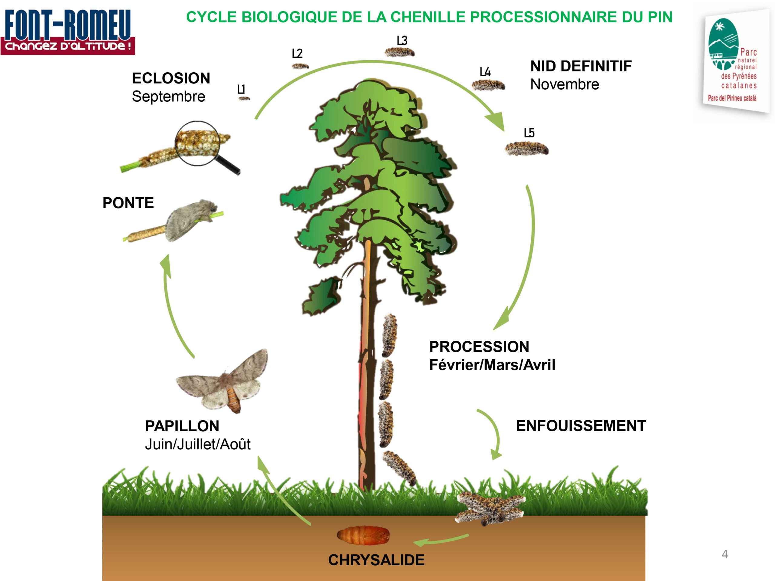 Présentation PowerPoint Présentation PowerPoint