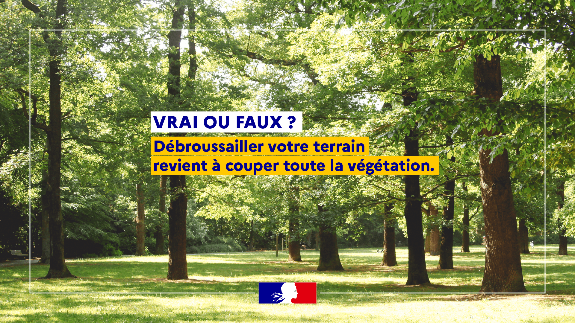 Vignette RS 1920x1080_Vrai faux_5 Vignette RS 1920x1080_Vrai faux_5