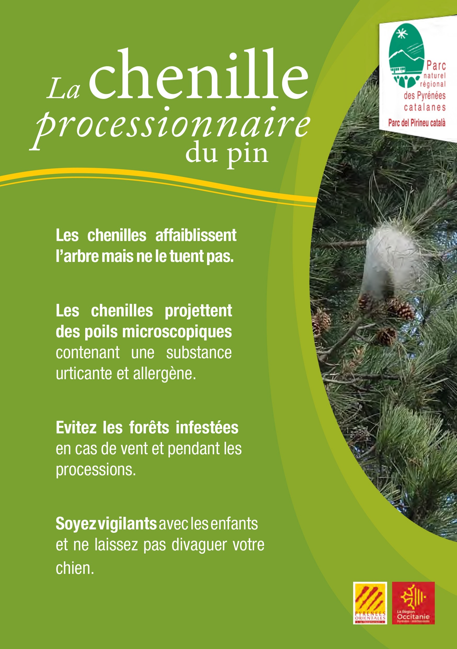 chenilles-processionnaires_Flyer2023-1 chenilles-processionnaires_Flyer2023-1