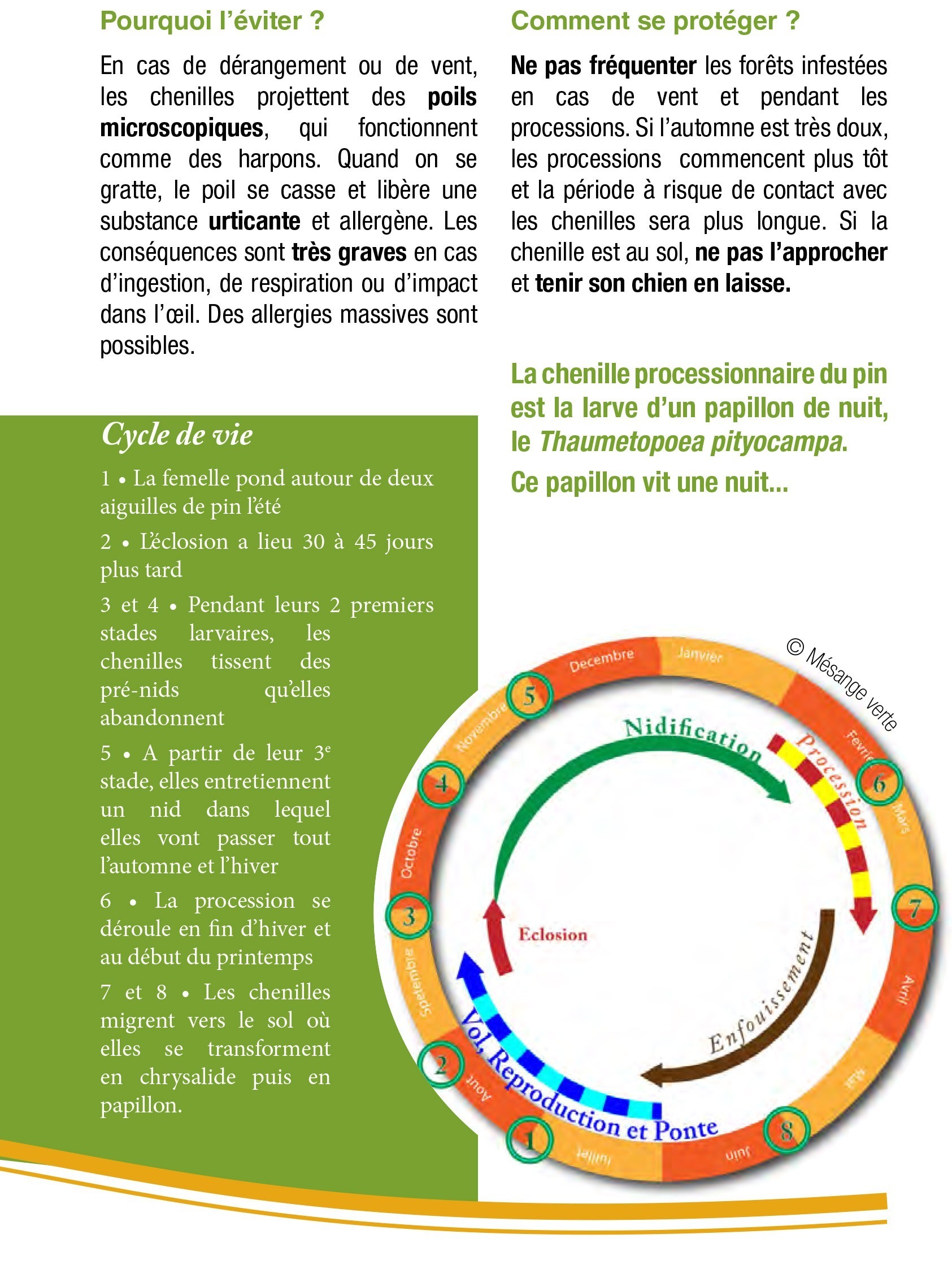 chenilles-processionnaires_Flyer2023-2 chenilles-processionnaires_Flyer2023-2