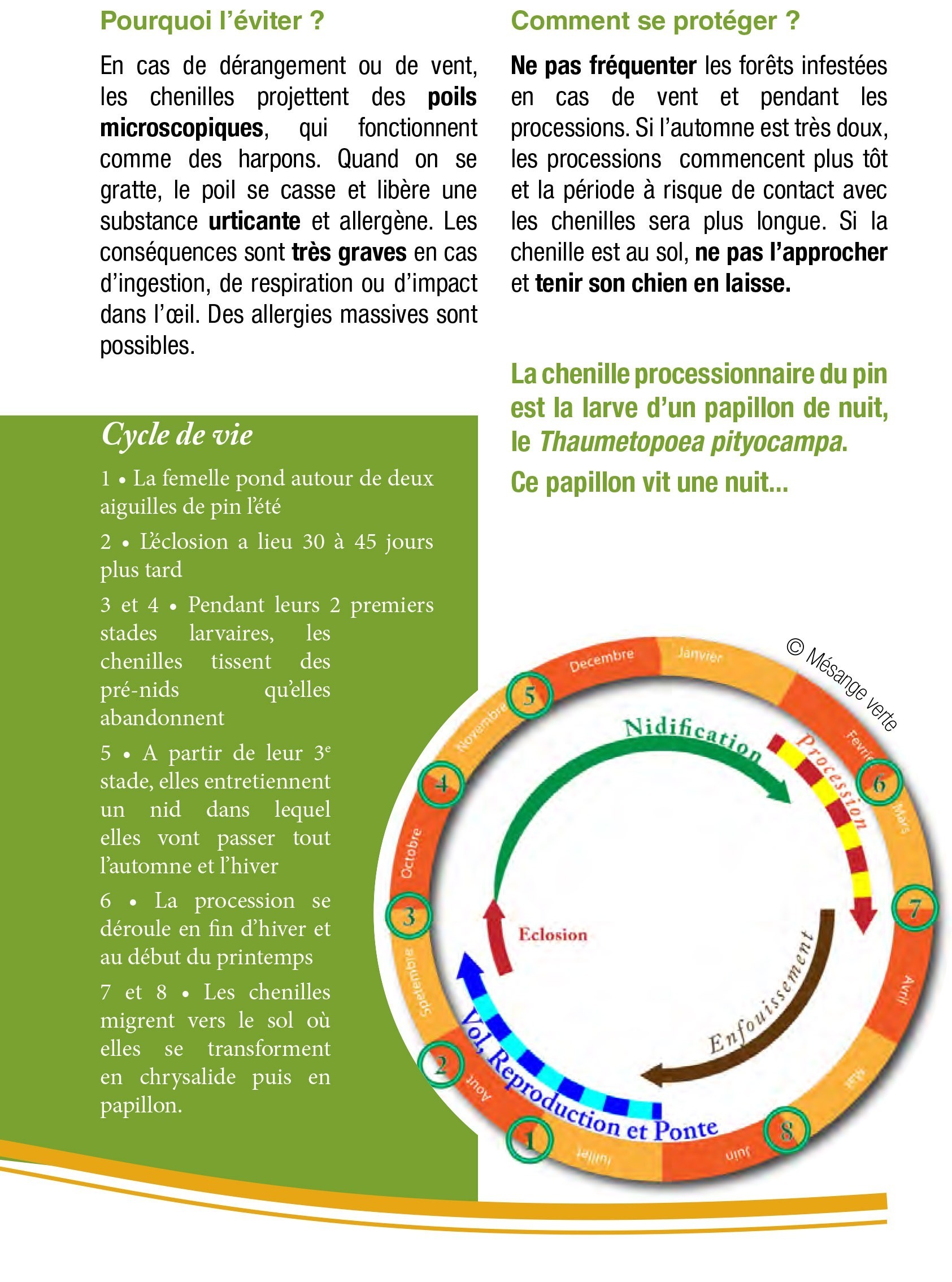 chenilles-processionnaires_Flyer2023-2