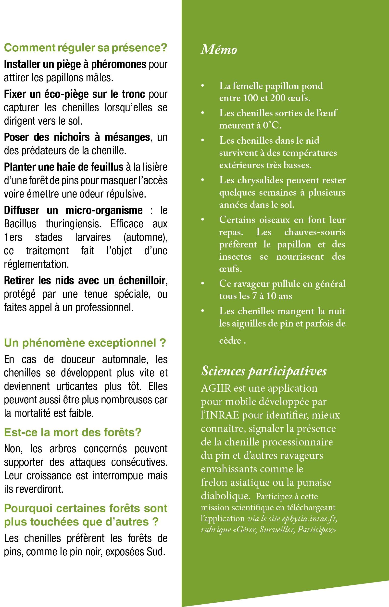 chenilles-processionnaires_Flyer2023-3 chenilles-processionnaires_Flyer2023-3