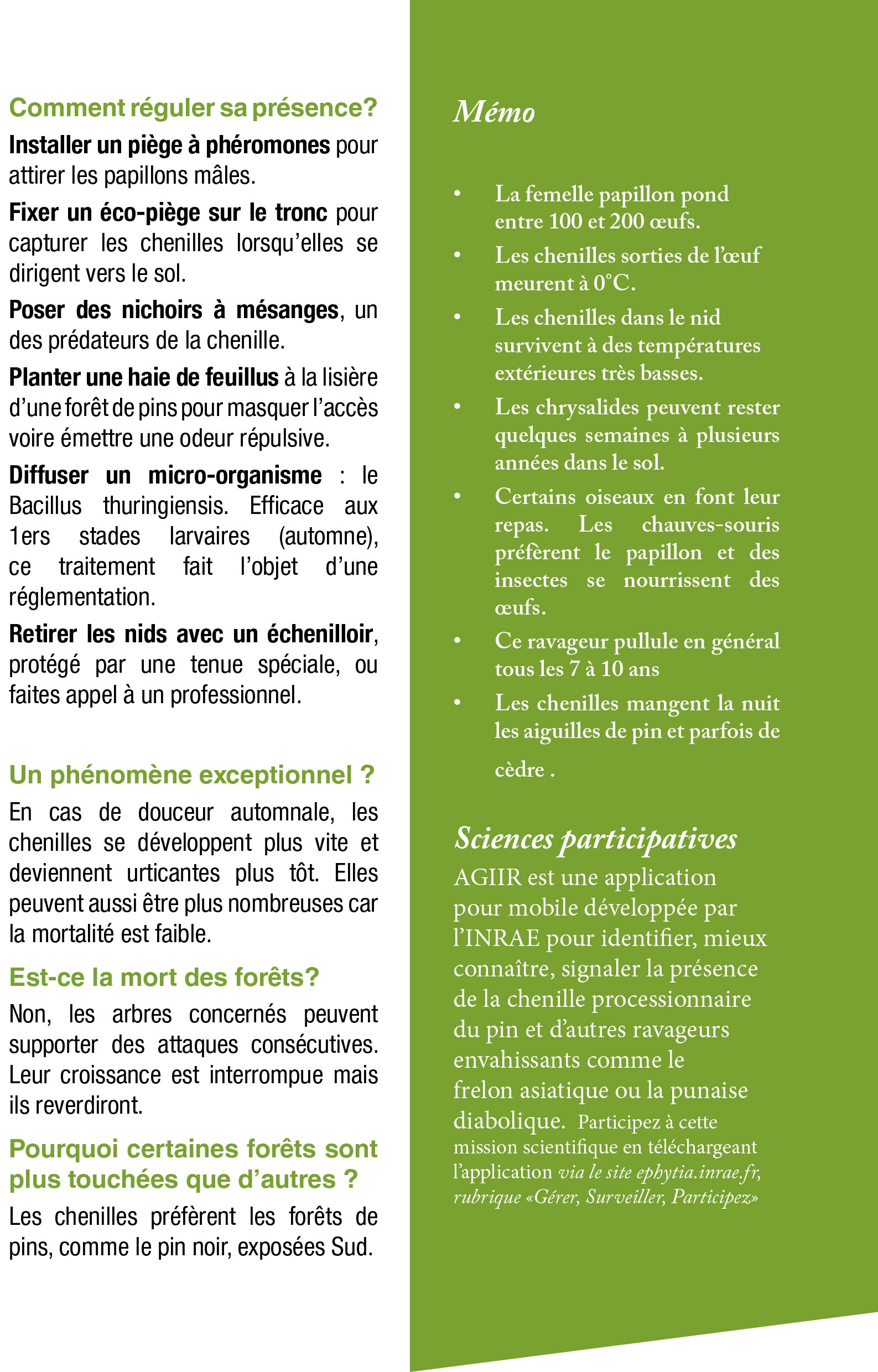 chenilles-processionnaires_Flyer2023-3