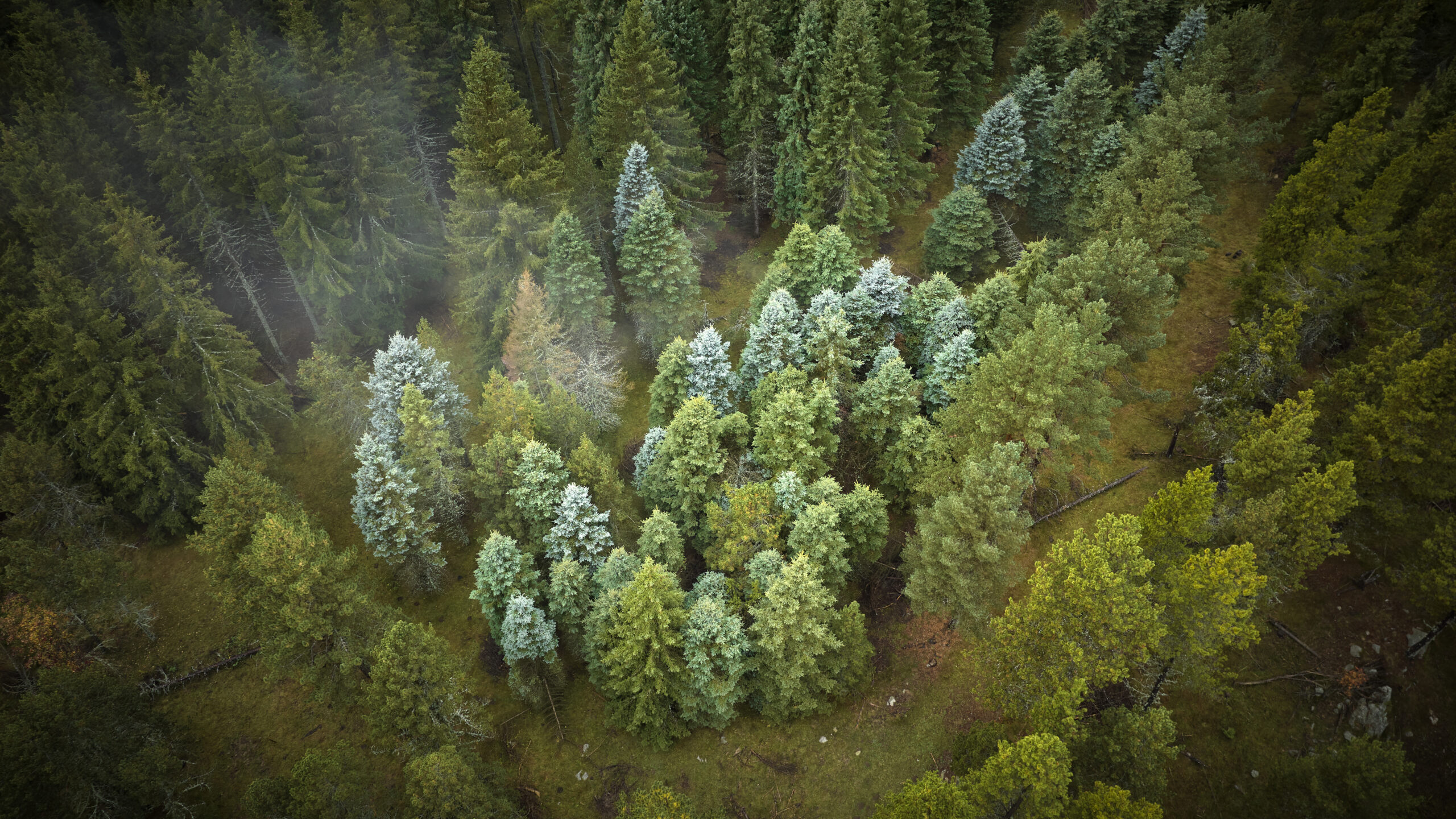 Automne-Drone_005 Automne-Drone_005