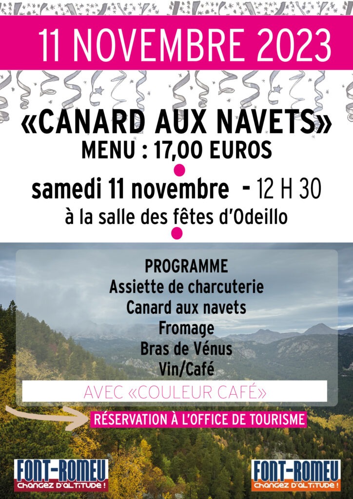 Affiche canard aux navets 2023