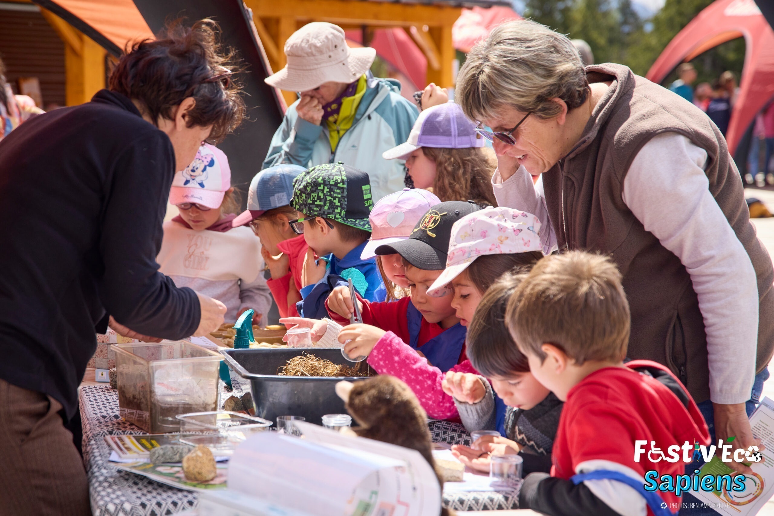 FONTROMEU FESTIVECO ECOLES 11