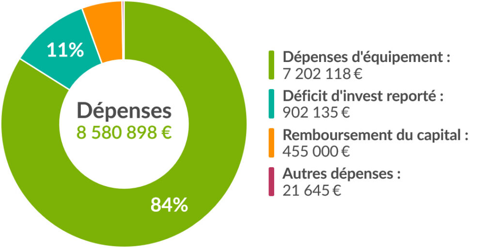 Budget Primitif 2024 - Dépenses d'investissement